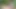 Dede oral seks için busty genç davet ediyor