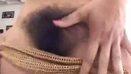 Mika tan (kıllı kedi)