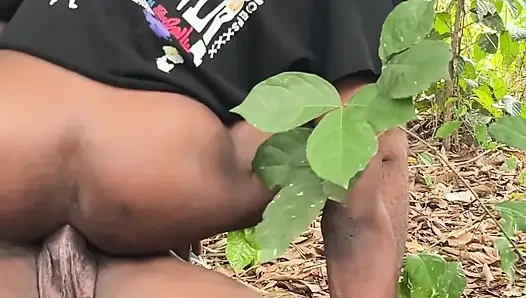 Siyah haydut çalıda rahatlıyor