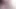 Pinkvibrator