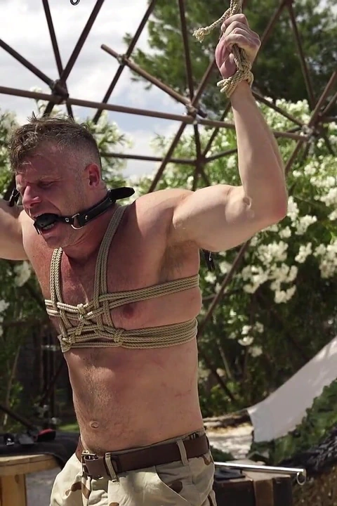 Brian Bonds ve Quin Quire acemi