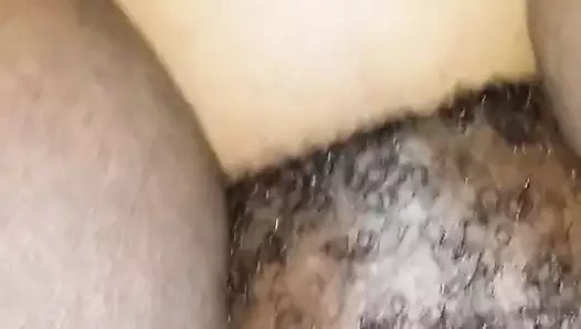 amatör abanoz KEDİ