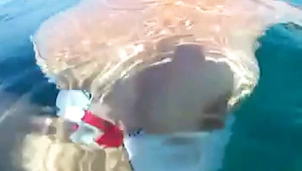 sualtı seks yüzme twinks