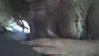 Sacramento'daki beyaz karısı