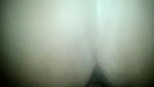 içinde ona tatlı kedi