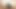 Seksi, yağlı vajina kız, titreşen dildo ile kameranın önünde mastürbasyon yapıyor