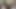 Külotlu çoraplı web kızı 185