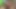 Kalın bir yarak büyük götlü orta yaşlı seksi kadına kolayca giriyor