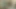 Genç tatlı kız azgın bir masör tarafından rahatlanıyor