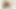 Tamil büyük götlü 19 yaşındaki seksi üvey kız kardeş odasında dinlenirken Pencaplı üvey erkek kardeş tarafından sikiliyor - anal boşalma bölüm-2