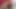 Ateşli kızıl saçlı dildo emiyor ve götüne sokuyor