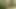 Scoutboys seksi sikli dilf tyler saint ormanda ateşli izci oğlanı prezervatifsiz sikiyor