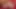 Üst düzey sarışın Fransız bebekler yoğun lezbiyen eyleminde dildo paylaşıyor