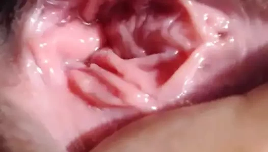 Yakın yukarı kedi yaymak üzerinde web kamerası