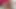 Ateşli kızıl saçlı dildo emiyor ve götüne sokuyor