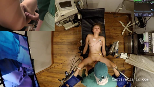 $clov kayıp ava sireni, doktor tampa tarafından waynotfair'de satın alındı