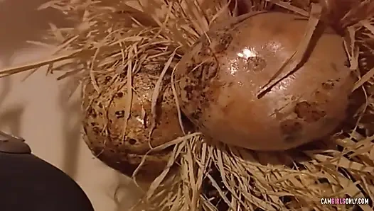 Zevk bağımlılığı