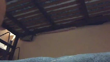 Büyük kaslı baba ayı