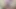 Meksikalı Öğrenci Gerçek Ev Yapımı Video Porno Sahnesine Çıkıyor