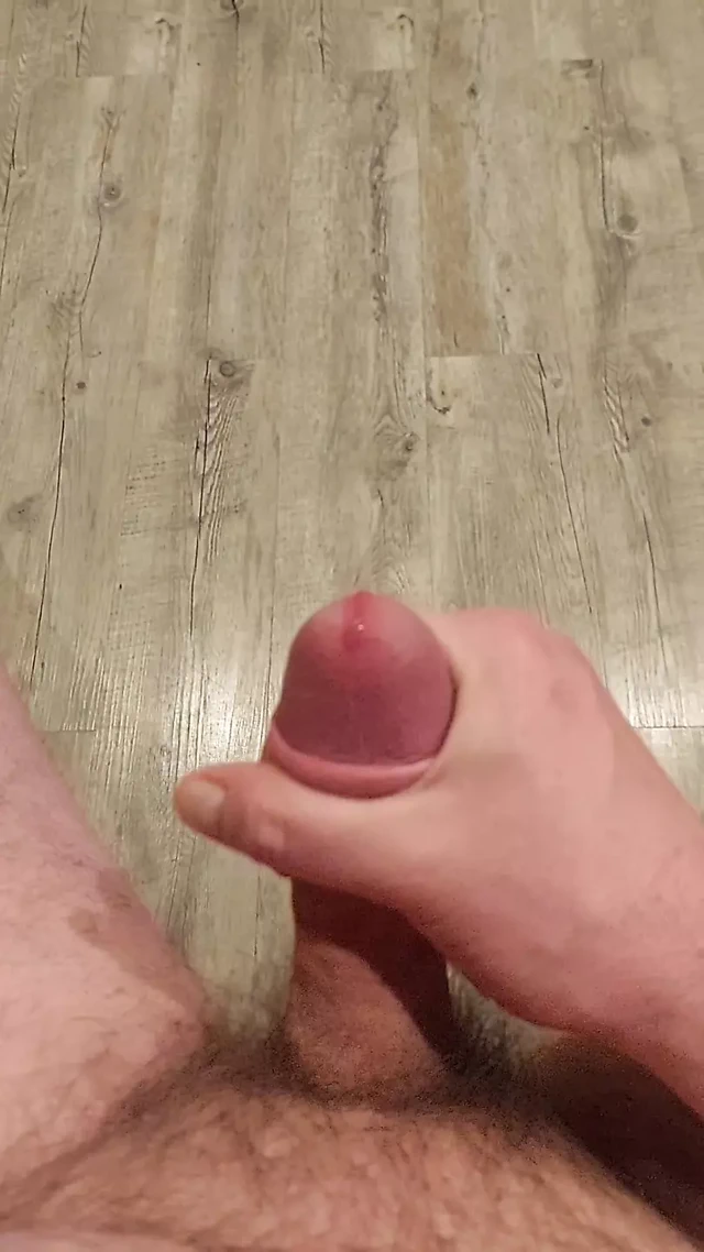 Budy'nin çok yönlü aracı