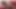 Orta yaşlı seksi kadın büyük siyah yarakla amını siktirmek için eğiliyor