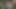 İki sarışın porno yıldızı büyük siyah penisler için can atıyor