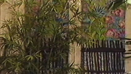 Les mauvaises rencontres (tatlı rüyalar) (1980) vmd ingilizce