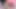 Pinkvibrator