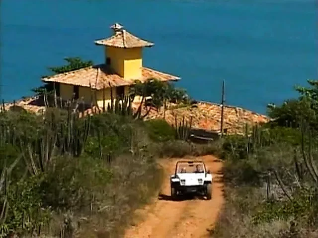 Brazilian Snake 2