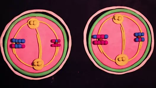 Anime fuck stop motion hamuru kuklalar seks