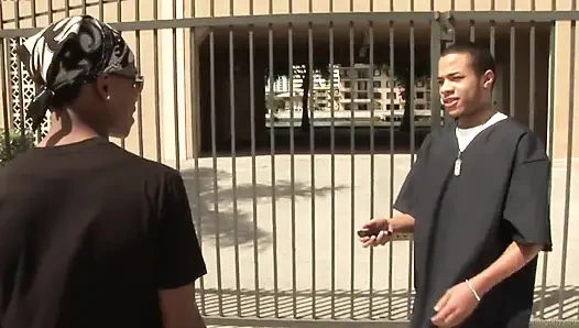 Elmo Jackson + Nick Wild