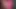 Pissy Pink Tanga