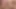 Seksi bir esmerin vücudunun içinde iki büyük büyük yarak