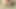 Ami Otowa sert Japon pornosu için hevesini temize çıkarıyor, vücudunun her santiminden bir boşalma arzu ediyor!