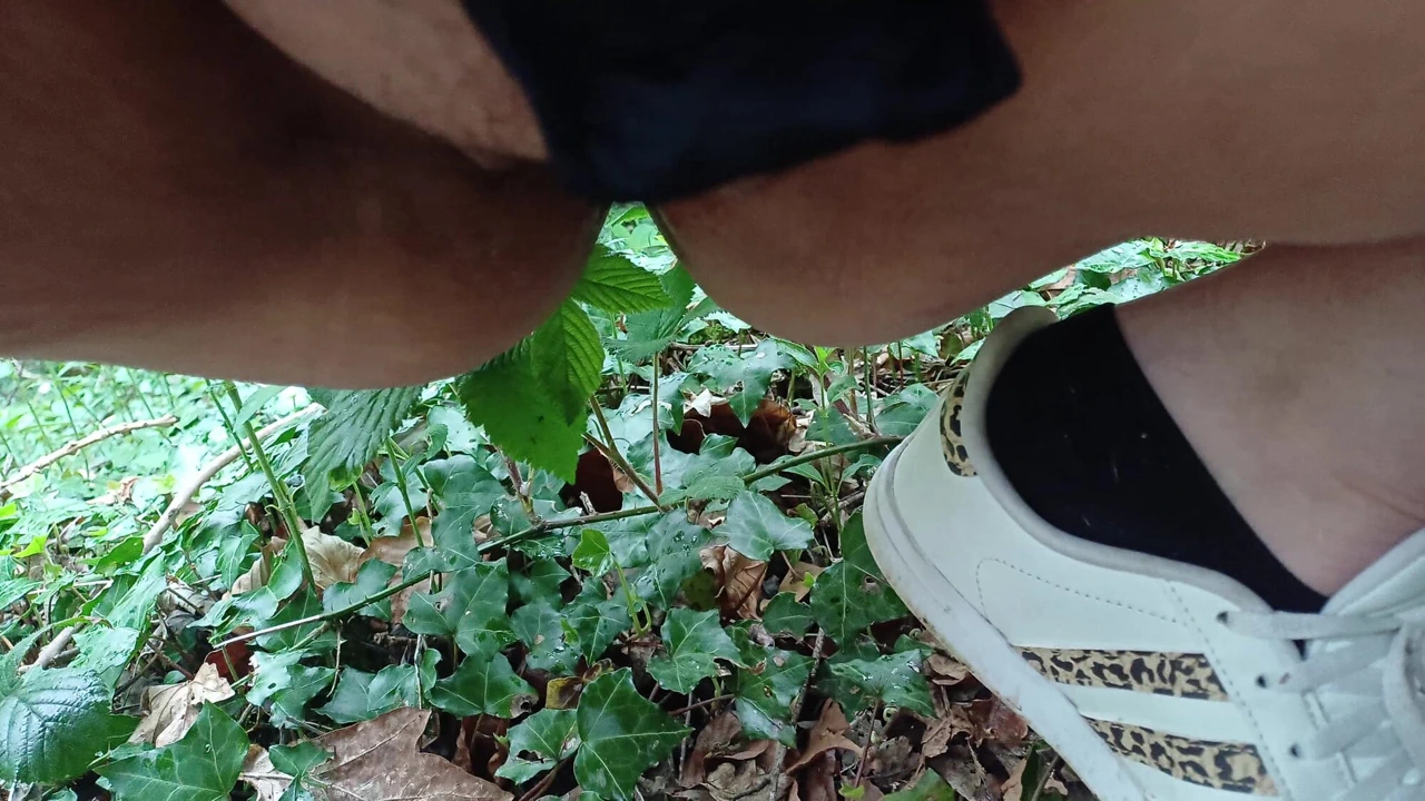 Ormanda su sporları