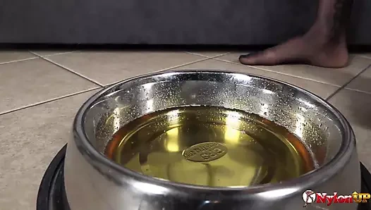 Oyuncu dövmeli zenci kız Glorya kaseye işemeyi ve tükürmeyi seviyor