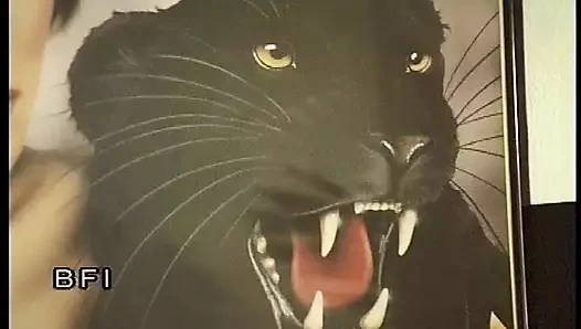 Yaşlı ve taze yumruk seviyor. Sikişiyor.