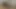 Yaramaz papatya yalama yapay penis sürtme ve mastürbasyon yapmak kedi