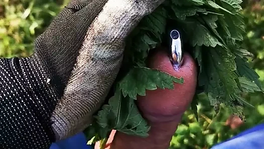 Kuyruğunda ısırgan otu ve çuval bölüm 2