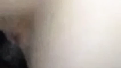 Hindu Hint doggystyle beyaz İngiliz sıkı kedi