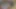 Siyah iç çamaşırlı öğrenci gırtlağına kadar alıyor
