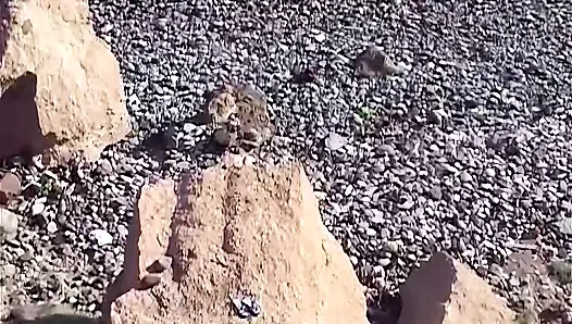 İspanya'da tatilde sikiş! Her istekli orta yaşlı seksi kadını sikiyor