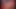 Sert horoz kabız bağırsaklarını yarıp geçerken, büyük şişman çiçek yırtıklar ve anal çatlaklardan muzdariptir.