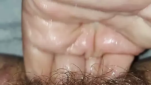 dört parmak kahrolası benim kıllı KEDİ