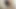 Üvey kız kardeşim yarağımı emdiğinde çok sürtük - İspanyolca porno