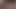 Tombul kedi üzerinde boşalmak (pov)
