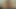 Tam 21 dakika genç travesti bruna kelebek sikiliyor
