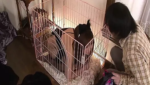 Sansürsüz bir genç kızla Tokyo'da seks tatili # 2 -