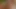 Teenyschlampe mit Glasdildo gefickt