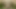 Dirtygardengirl büyük bir gri yapay penis ve prolapsus ile kıçını lanet